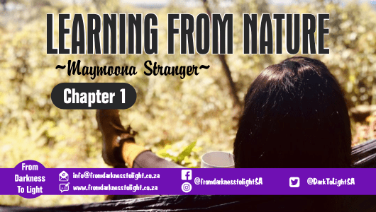 Learning From Nature